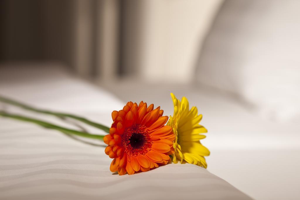 Dahlia Inn Πράγα Εξωτερικό φωτογραφία
