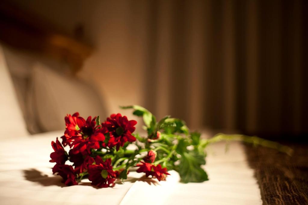 Dahlia Inn Πράγα Δωμάτιο φωτογραφία